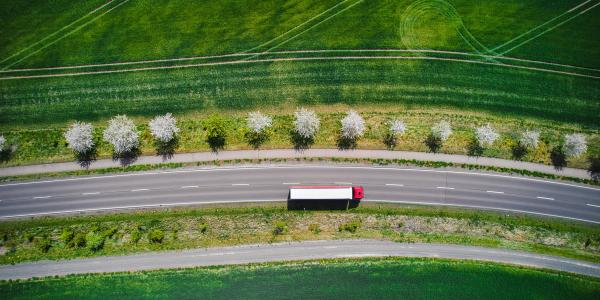 Deforestation, land conversion and financial crime - mitigating the financial industry's risk exposure.