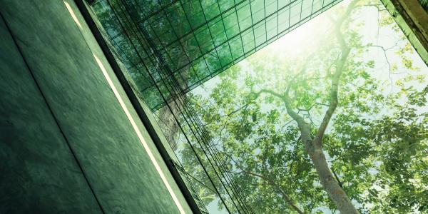 UK Finance backs UK endorsement of international sustainability reporting standards.
