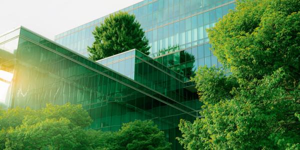Where next on Net Zero Homes?