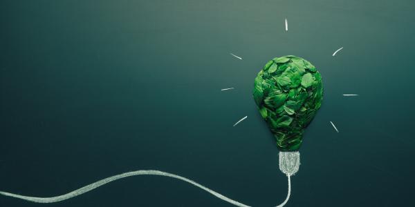 Powering Up Britain and Mobilising Green Investment - response
