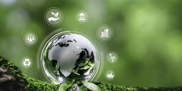 From ambition to impact: A practical guide for financial firms implementing sustainable practices