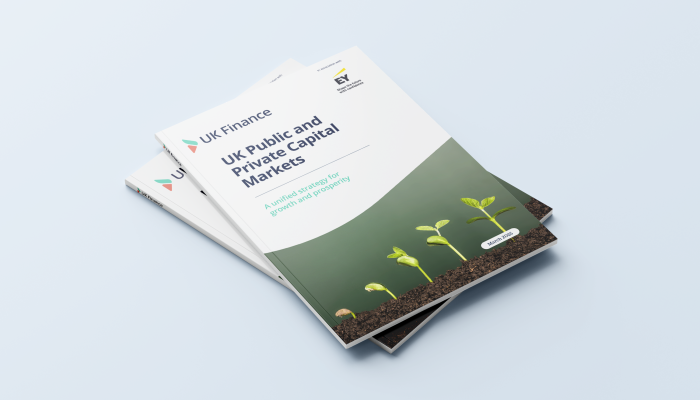 UK Public and Private Capital Markets