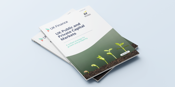 UK Public and Private Capital Markets